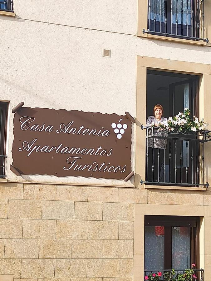 Apartamentos Antonia Cuzcurrita-Río Tirón Екстериор снимка